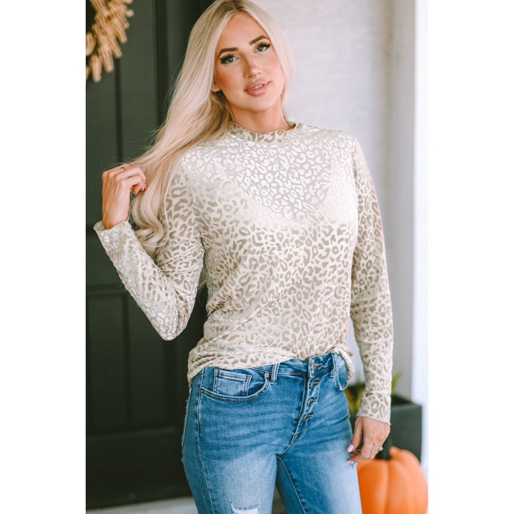 Sheer Leopard Print Long Sleeve Top